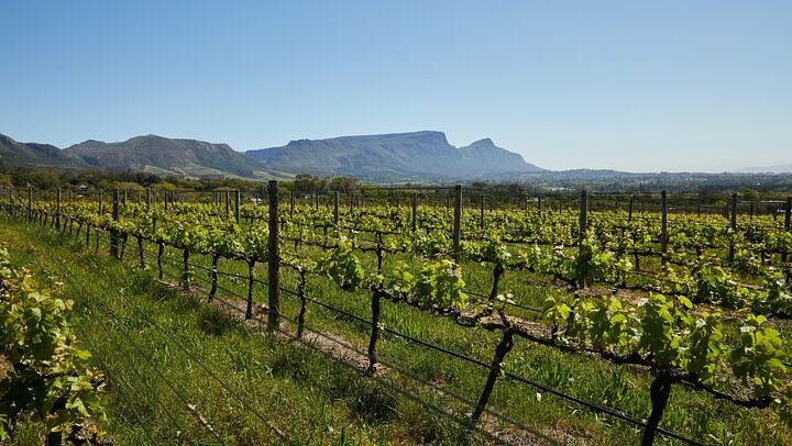 Private Top 5 Wineries Day from Cape Town: Waterford, Spier, Delaire Graff, Boschendal (4/12)