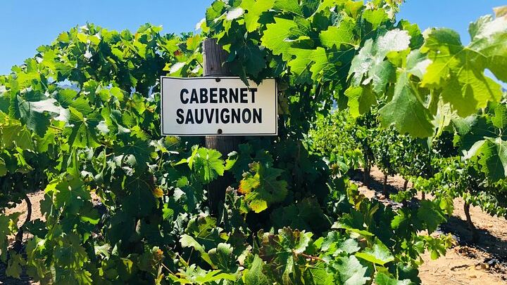 Private Top 5 Wineries Day from Cape Town: Waterford, Spier, Delaire Graff, Boschendal (1/12)