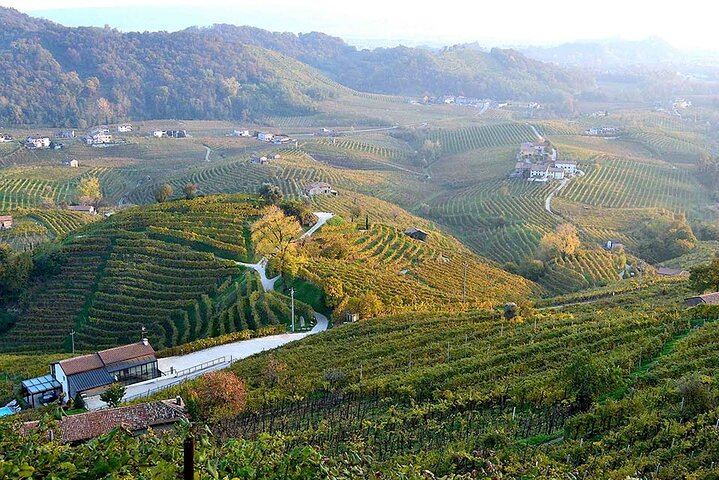 Private Prosecco Day Trip from Venice with English-Speaking Driver, 2 Wineries, Lunch (1/12)