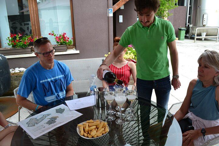 Private Prosecco Day Trip from Venice with English-Speaking Driver, 2 Wineries, Lunch (3/12)