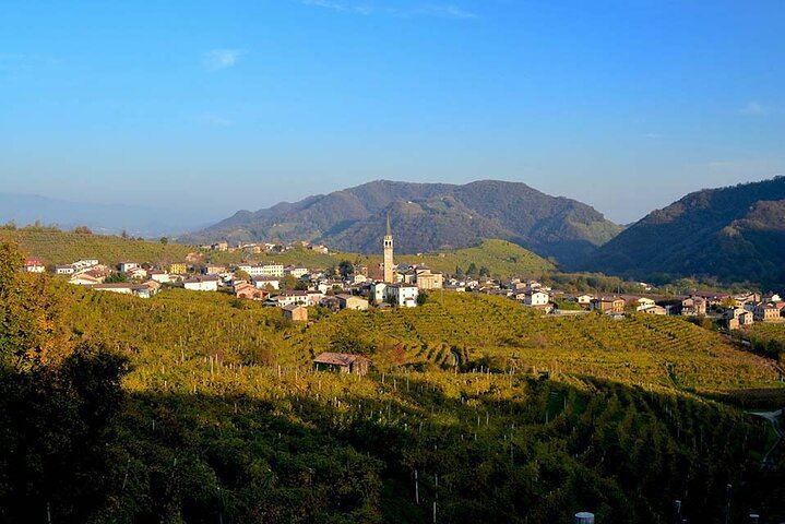 Private Prosecco Day Trip from Venice with English-Speaking Driver, 2 Wineries, Lunch (12/12)