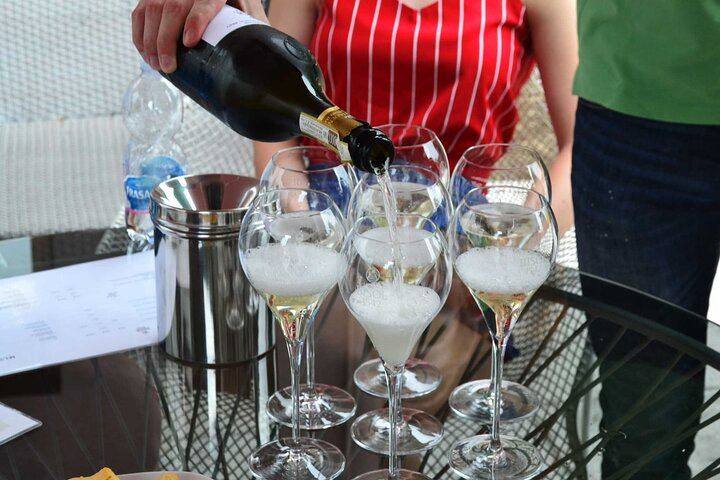 Private Prosecco Day Trip from Venice with English-Speaking Driver, 2 Wineries, Lunch (5/12)