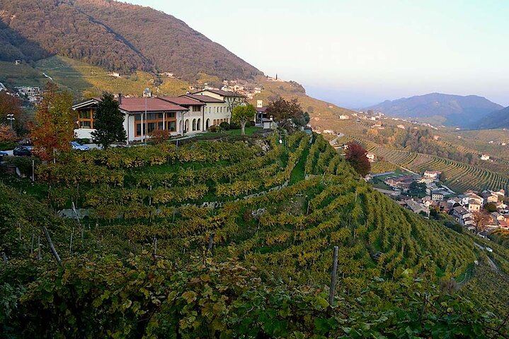 Private Prosecco Day Trip from Venice with English-Speaking Driver, 2 Wineries, Lunch (10/12)