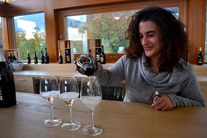 Private Prosecco Day Trip from Venice with English-Speaking Driver, 2 Wineries, Lunch (11/12)