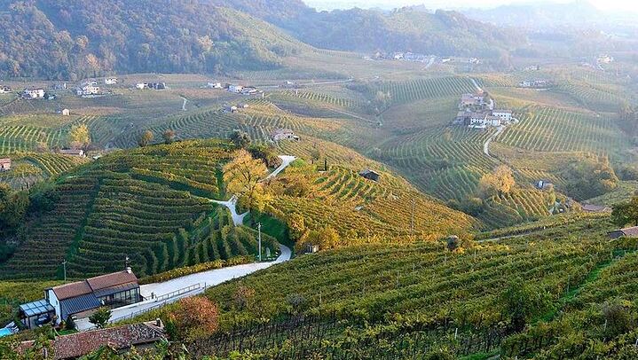 Private Prosecco Day Trip from Venice with English-Speaking Driver, 2 Wineries, Lunch (1/12)