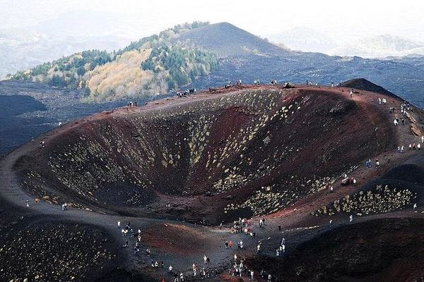Private Etna Tour from Catania: Zafferana Honey, Sapienza and Winery Lunch with 4 Wines