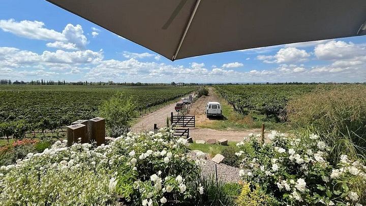 Uco Valley Private Transfer Tour: Domaine Bousquet Tasting, La Azul Lunch (3/7)