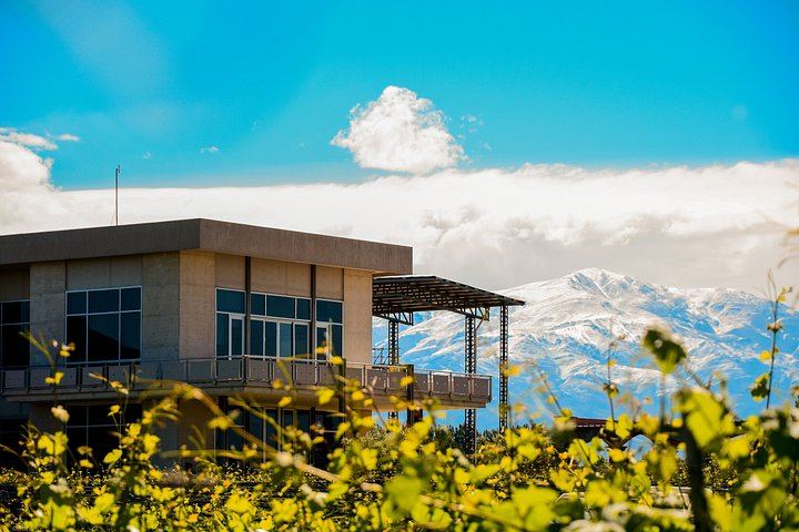 Uco Valley Private Transfer Tour: Domaine Bousquet Tasting, La Azul Lunch (6/7)