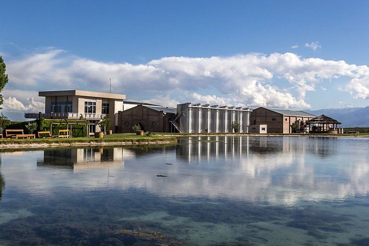 Uco Valley Private Transfer Tour: Domaine Bousquet Tasting, La Azul Lunch (5/7)