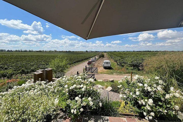 Uco Valley Private Transfer Tour: Domaine Bousquet Tasting, La Azul Lunch (3/7)