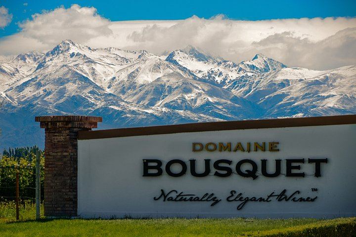 Uco Valley Private Transfer Tour: Domaine Bousquet Tasting, La Azul Lunch (7/7)