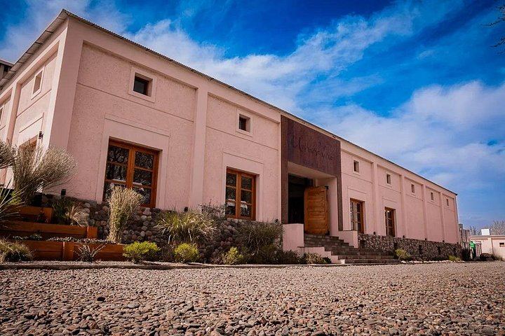 Uco Valley Private Transfer Tour: Domaine Bousquet Tasting, La Azul Lunch (2/7)