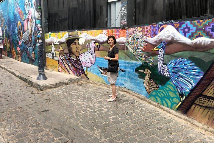 Private Full-Day Tour of Valparaíso and Viña del Mar with Casablanca Wine Tasting (10/12)