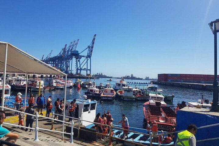 Private Full-Day Tour of Valparaíso and Viña del Mar with Casablanca Wine Tasting (12/12)