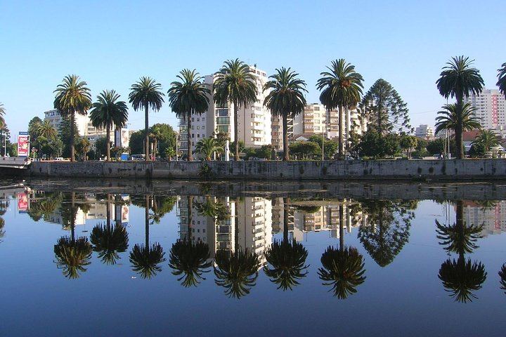 Private Full-Day Tour of Valparaíso and Viña del Mar with Casablanca Wine Tasting (6/12)