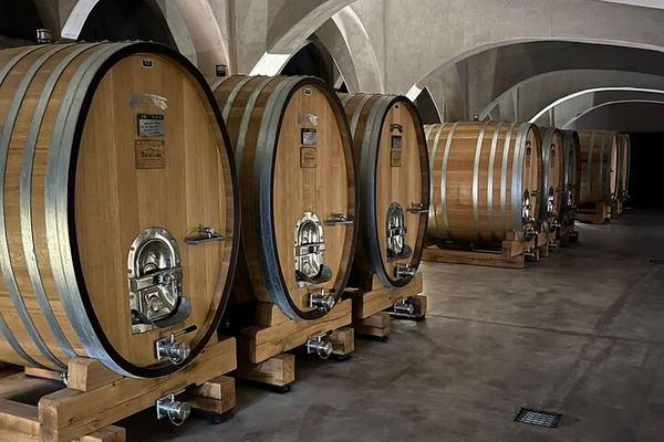 Private Mendoza Wine Tour: Two Wineries, Hotel Pickup and Gourmet Lunch