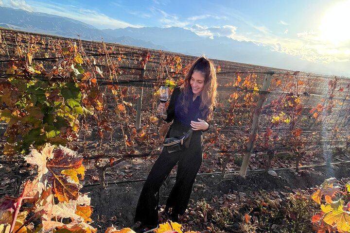 Private Mendoza Wine Tour: Two Wineries, Hotel Pickup and Gourmet Lunch (1/12)