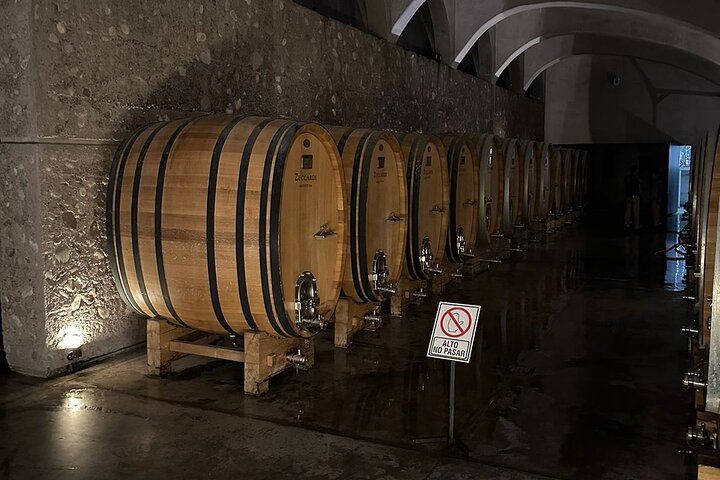 Private Mendoza Wine Tour: Two Wineries, Hotel Pickup and Gourmet Lunch (7/12)