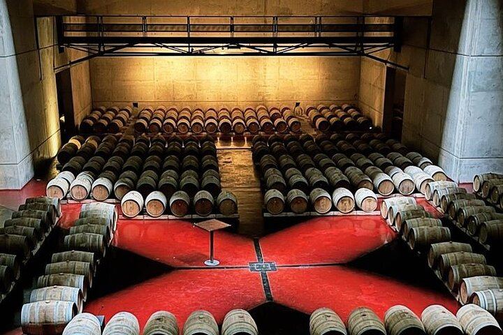 Private Mendoza Wine Tour: Two Wineries, Hotel Pickup and Gourmet Lunch (3/12)