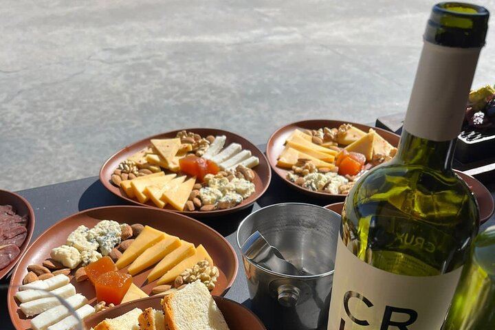 Private Mendoza Wine Tour: Two Wineries, Hotel Pickup and Gourmet Lunch (2/12)