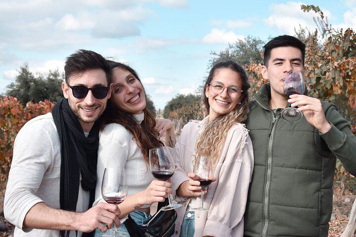 Private Mendoza Wine Tour: Two Wineries, Hotel Pickup and Gourmet Lunch (4/12)