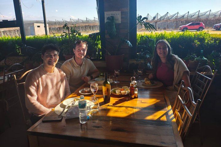 Private Mendoza Wine Tour: Two Wineries, Hotel Pickup and Gourmet Lunch (8/12)