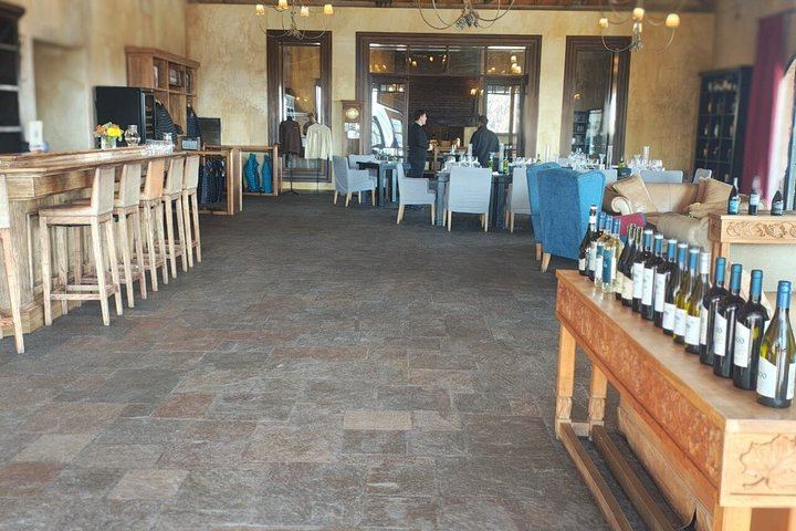 Private Mendoza Wine Tour: Two Wineries, Hotel Pickup and Gourmet Lunch (12/12)