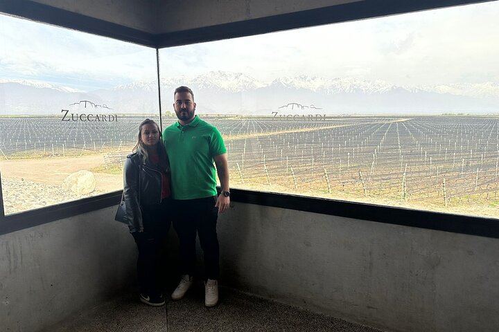 Private Mendoza Wine Tour: Two Wineries, Hotel Pickup and Gourmet Lunch (6/12)