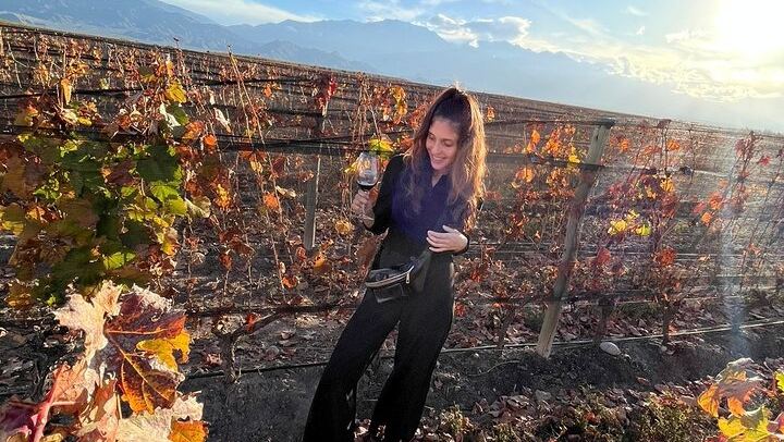 Private Mendoza Wine Tour: Two Wineries, Hotel Pickup and Gourmet Lunch (1/12)