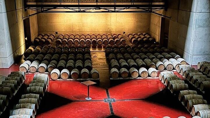 Private Mendoza Wine Tour: Two Wineries, Hotel Pickup and Gourmet Lunch (3/12)