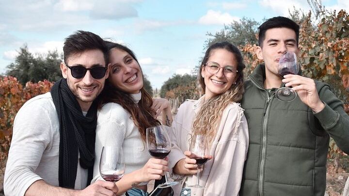 Private Mendoza Wine Tour: Two Wineries, Hotel Pickup and Gourmet Lunch (4/12)