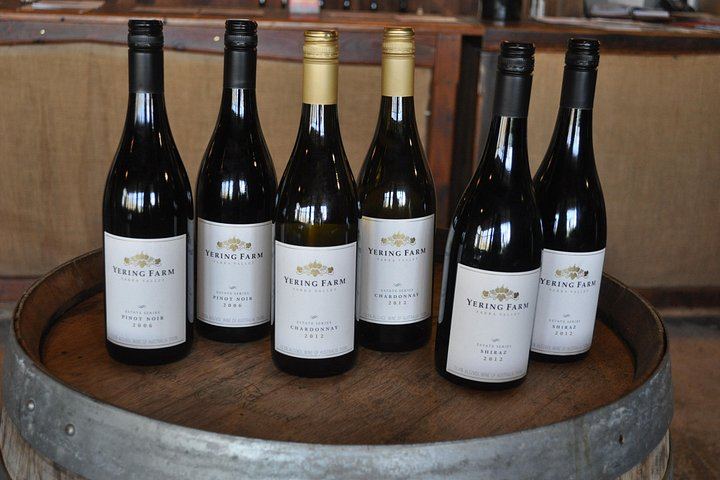 Private Full-Day Yarra Valley Wine Tour with Four Premium Winery Tastings and Lunch (7/7)