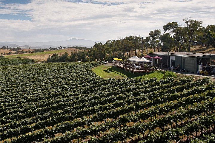 Private Full-Day Yarra Valley Wine Tour with Four Premium Winery Tastings and Lunch (6/7)