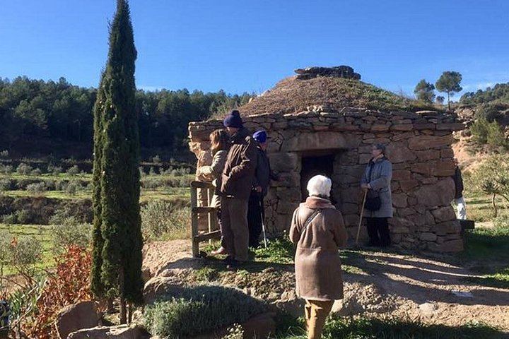 Half-Day Private Pla de Bages Wine and Olive Oil Tasting from Barcelona, Montserrat Views (10/12)