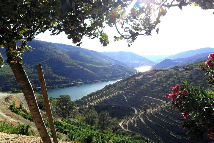 Private Off-the-Beaten-Path Douro Valley Wine Tour from Porto, Winery Lunch Stop (8/12)