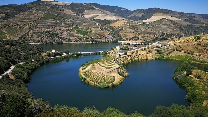 Douro Valley Day Tour from Porto, Max 7 Guests: Two Family Quintas, Villages and Port (4/12)