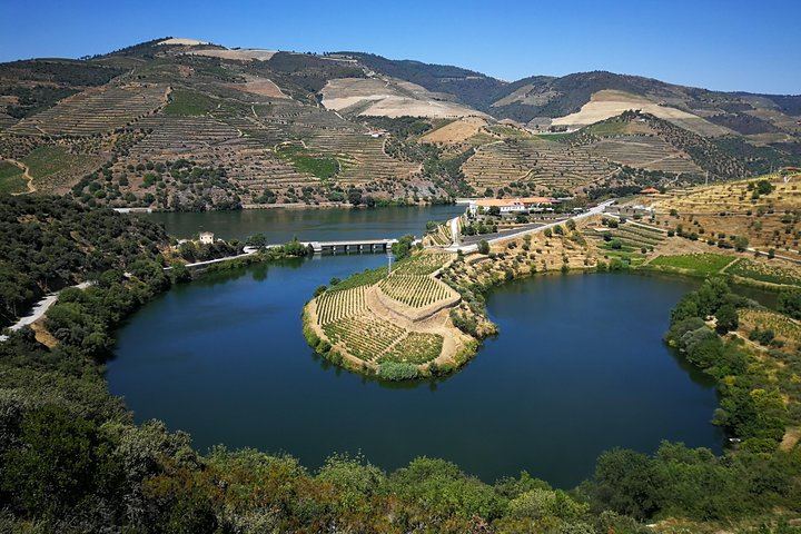 Private Off-the-Beaten-Path Douro Valley Wine Tour from Porto, Winery Lunch Stop (7/12)