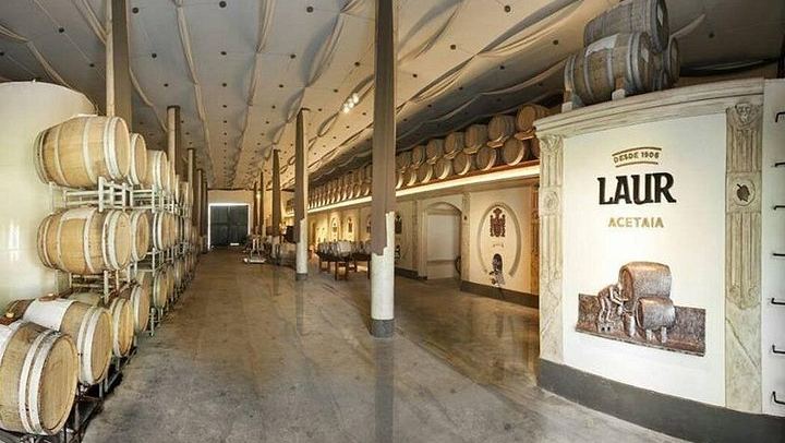 Private Transfer in Maipú: LAUR Olive Farm Tasting and Lunch at Casa El Enemigo (3/10)