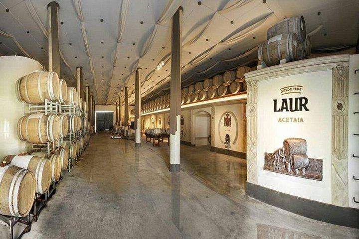 Private Transfer in Maipú: LAUR Olive Farm Tasting and Lunch at Casa El Enemigo (3/10)