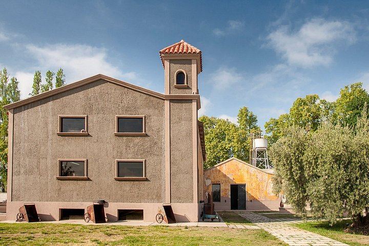 Private Transfer in Maipú: LAUR Olive Farm Tasting and Lunch at Casa El Enemigo (6/10)