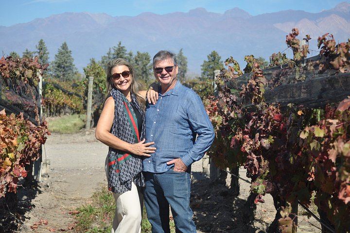 Private Transfer in Maipú: LAUR Olive Farm Tasting and Lunch at Casa El Enemigo (8/10)