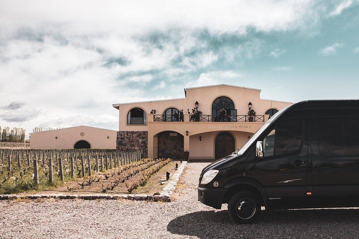 Private Luxury Uco Valley Day: Clos de los Siete, Piedra Negra and La Morada Lunch (5/12)