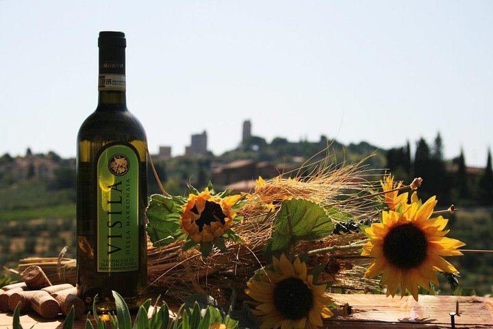 Private Vernaccia Vineyard Lunch with Wine and Olive Oil Tasting (1/10)