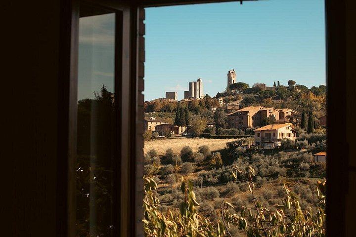 Private Vernaccia Vineyard Lunch with Wine and Olive Oil Tasting (8/10)