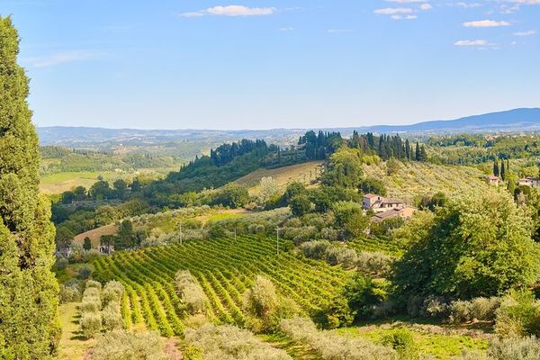 Private Tuscany Day Tour from Florence by Mercedes: Siena, San Gimignano, Chianti Hills