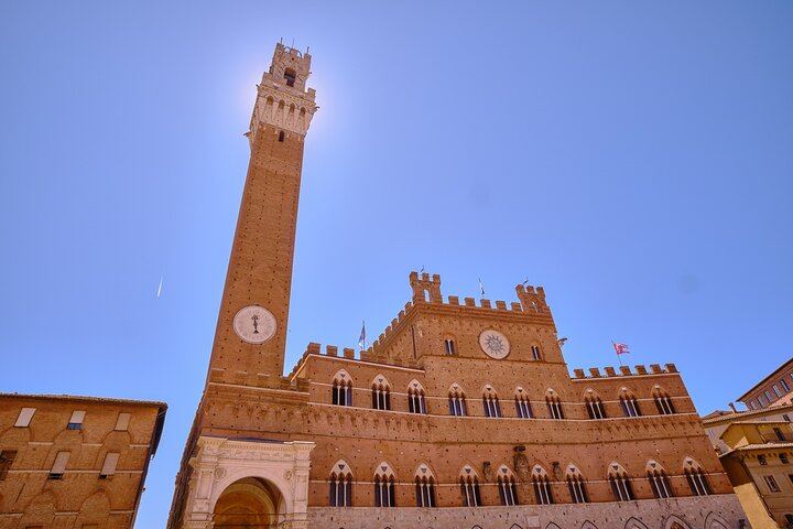 Private Tuscany Day Tour from Florence by Mercedes: Siena, San Gimignano, Chianti Hills (3/12)