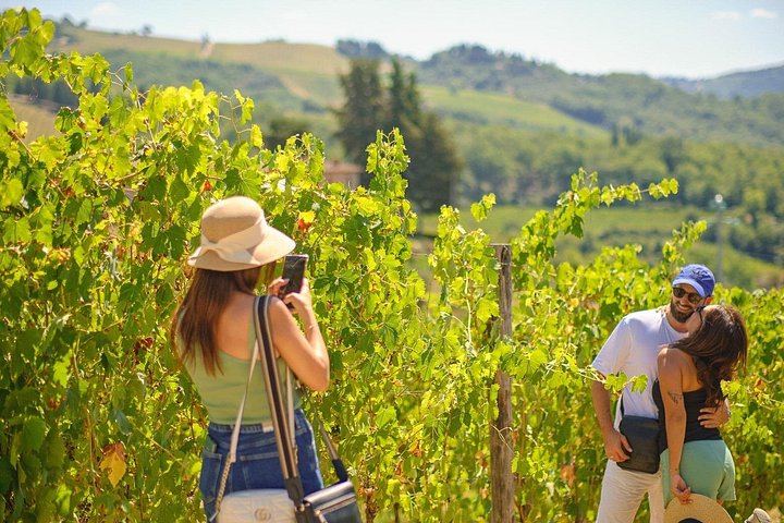 Private Tuscany Day Tour from Florence by Mercedes: Siena, San Gimignano, Chianti Hills (2/12)