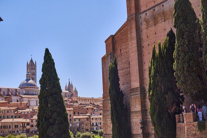 Private Tuscany Day Tour from Florence by Mercedes: Siena, San Gimignano, Chianti Hills (12/12)