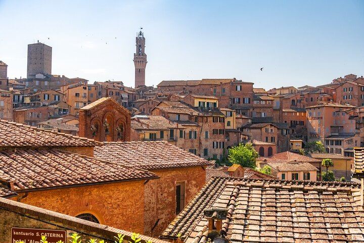 Private Tuscany Day Tour from Florence by Mercedes: Siena, San Gimignano, Chianti Hills (5/12)