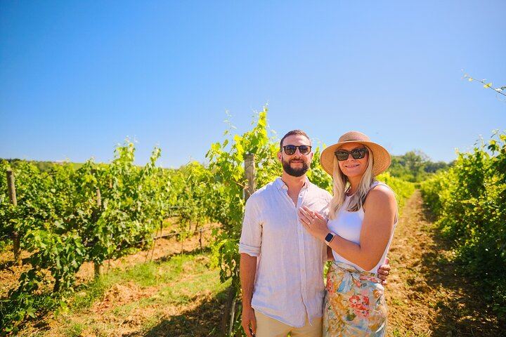 Half-Day Chianti Coach Trip from Florence with Two Winery Tastings at Sunset (5/12)